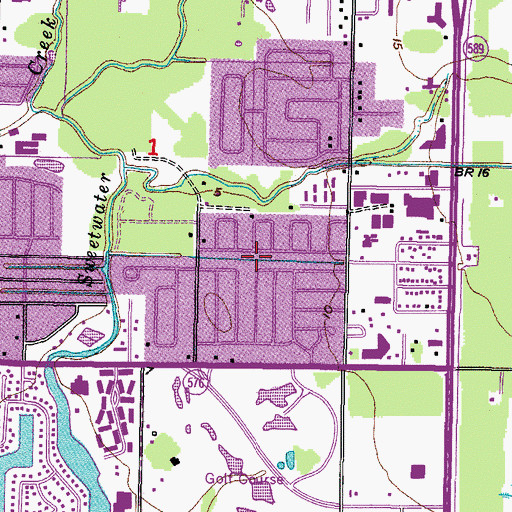 Topographic Map of Sanctuary at Sweetwater Creek, FL