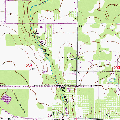 Topographic Map of Martindale Acres, FL