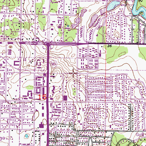 Topographic Map of McCary, FL