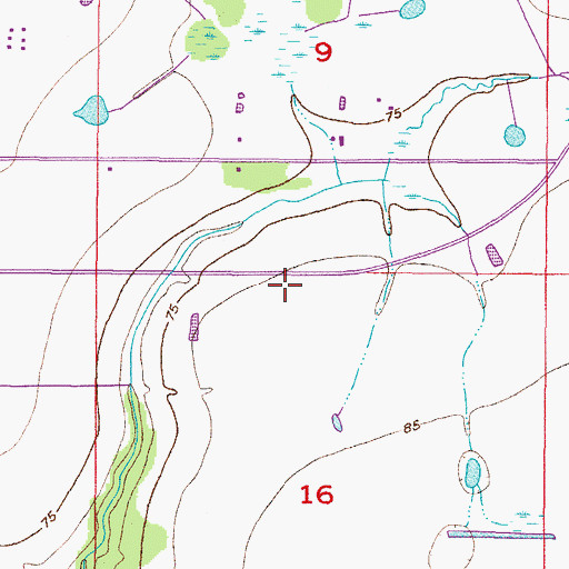 Topographic Map of Meadowbrooke at Summerfield, FL