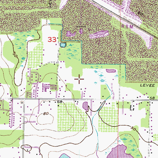 Topographic Map of Memory Lane, FL
