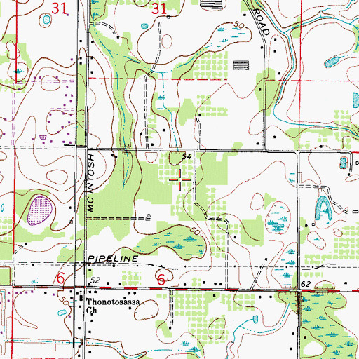 Topographic Map of Michaelangelo, FL