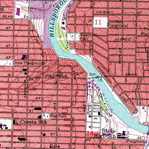 Topographic Map of Michigan Park, FL