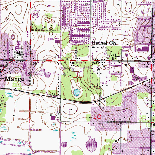 Topographic Map of Mirror Lake, FL