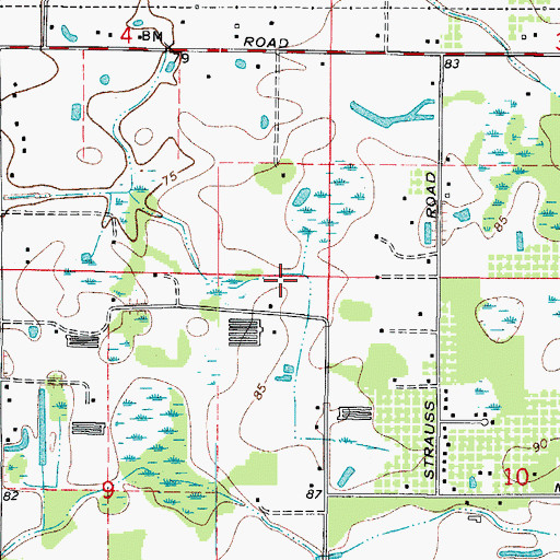 Topographic Map of Morgan Minor, FL