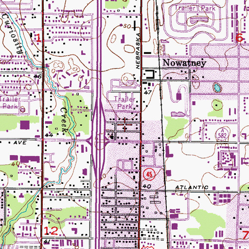 Topographic Map of Nebraska Avenue Terrace, FL