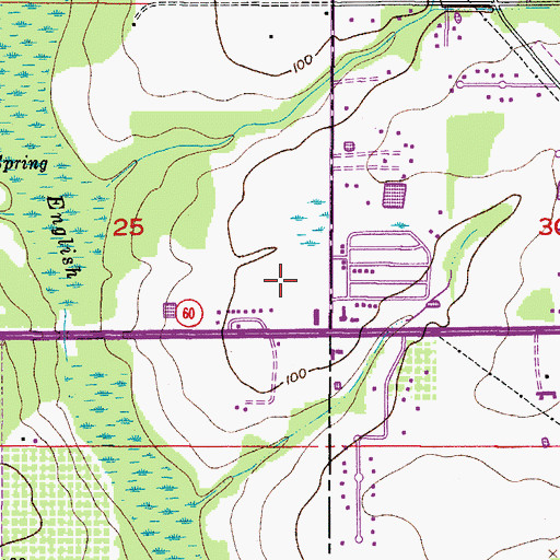 Topographic Map of Nehaul, FL