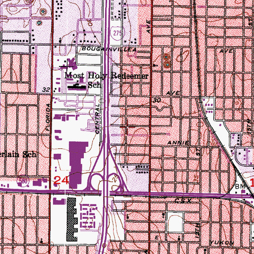 Topographic Map of North Side Homes, FL