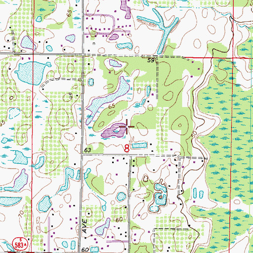 Topographic Map of Oak Hollow, FL