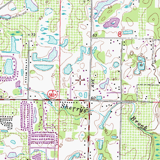 Topographic Map of Oak Path, FL