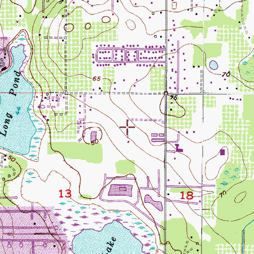 Topographic Map of Oaks at Valrico, FL
