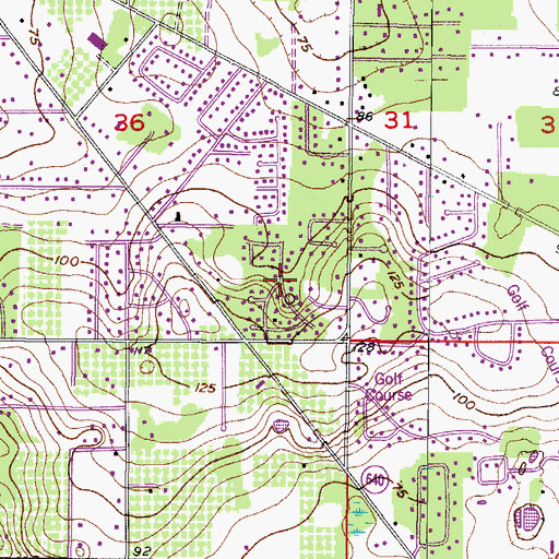 Topographic Map of Oakwood Ravine, FL