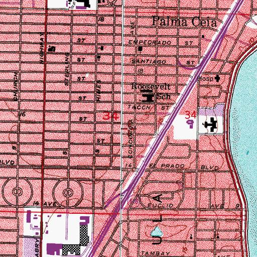 Topographic Map of Palma Vista, FL