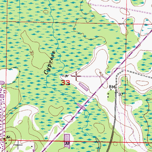Topographic Map of Palma Vista at Tampa Palms, FL