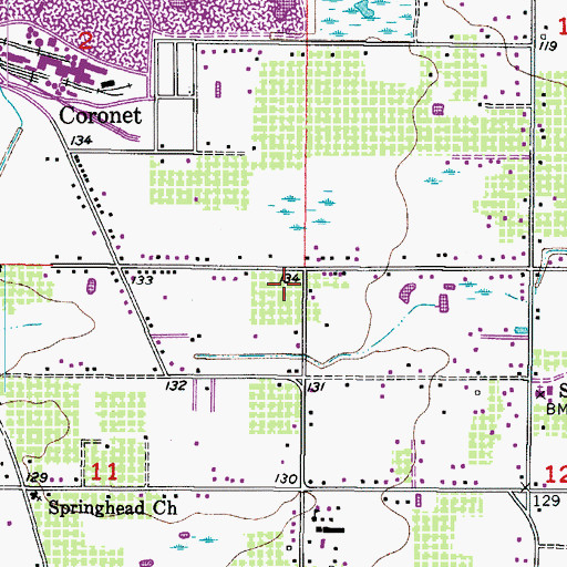 Topographic Map of Peacock Grove, FL