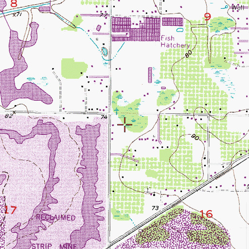 Topographic Map of Pearson Estates, FL