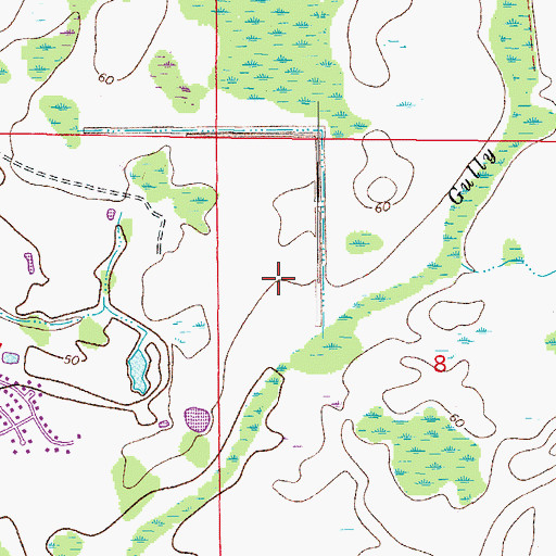 Topographic Map of Pebble Creek Village, FL