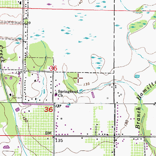 Topographic Map of Phillips Trail, FL