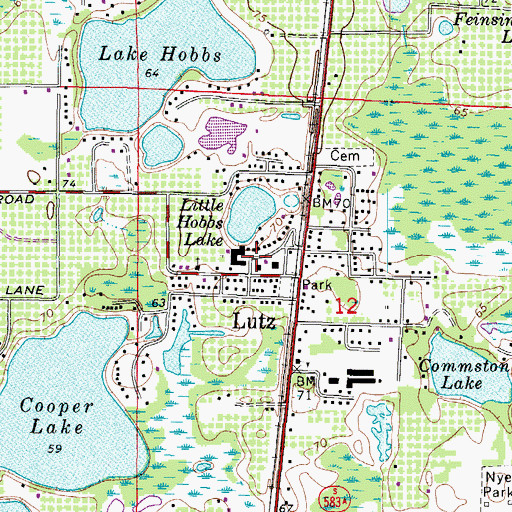 Topographic Map of West North Tampa, FL