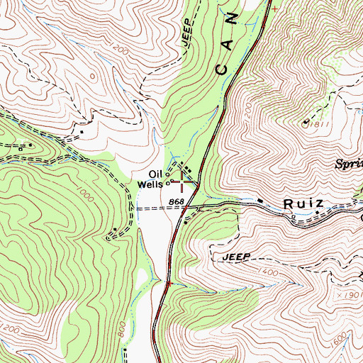 Topographic Map of Ruiz Canyon, CA