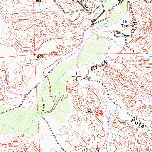 Topographic Map of Ruiz Canyon, CA