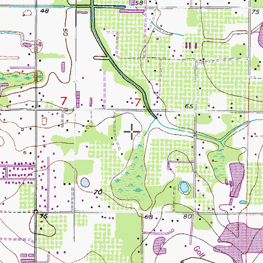 Topographic Map of Wheeler Oak, FL