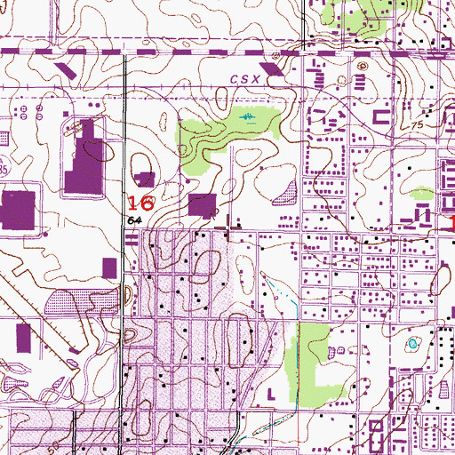 Topographic Map of White Pine, FL