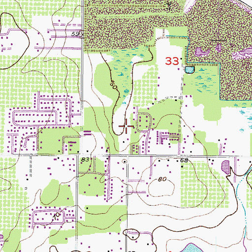 Topographic Map of Whitlock, FL