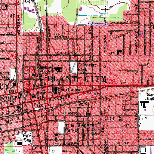 Topographic Map of Wiggins, FL