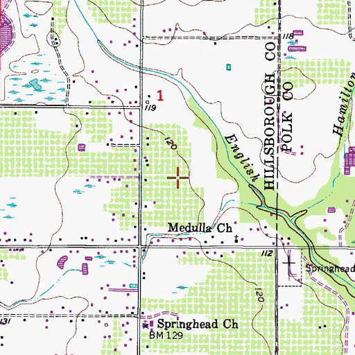 Topographic Map of Wiggins Meadows, FL