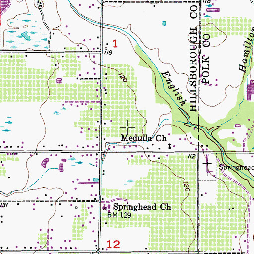 Topographic Map of Wiggins Trace, FL