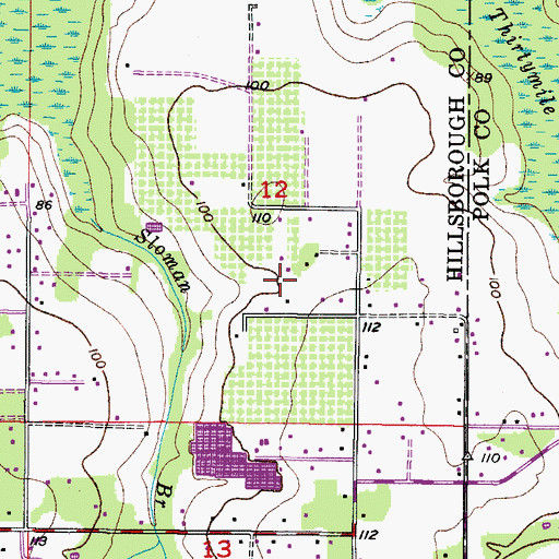 Topographic Map of Wiggs Estates, FL