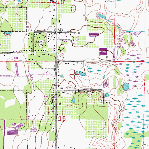 Topographic Map of Wildes Pond, FL