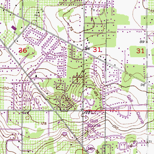 Topographic Map of Wildwood Hollow, FL