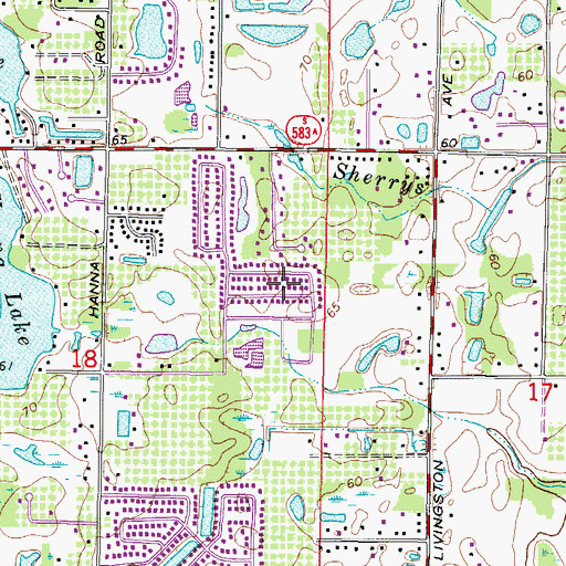 Topographic Map of Windemere, FL