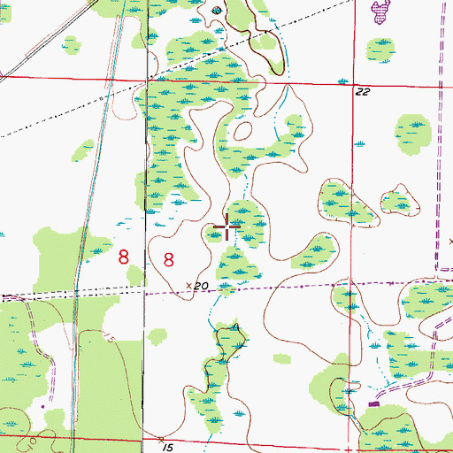 Topographic Map of Windsor Place at Citrus Park, FL