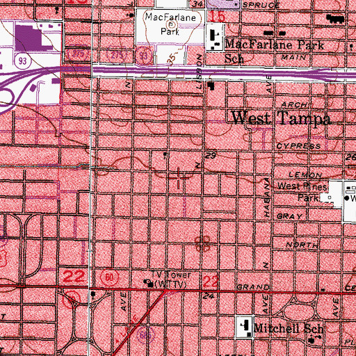 Topographic Map of Yalaha, FL