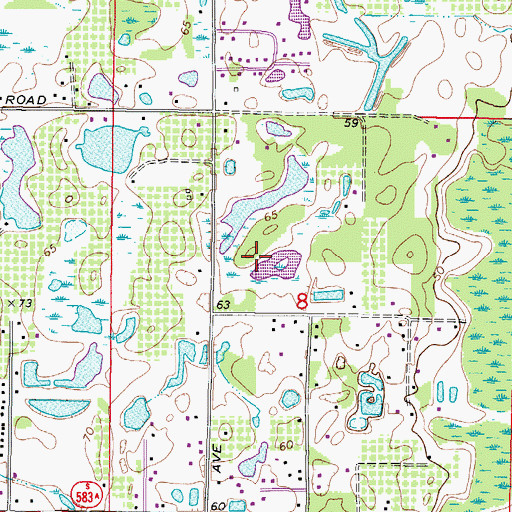 Topographic Map of Ziegler Brothers Estates, FL