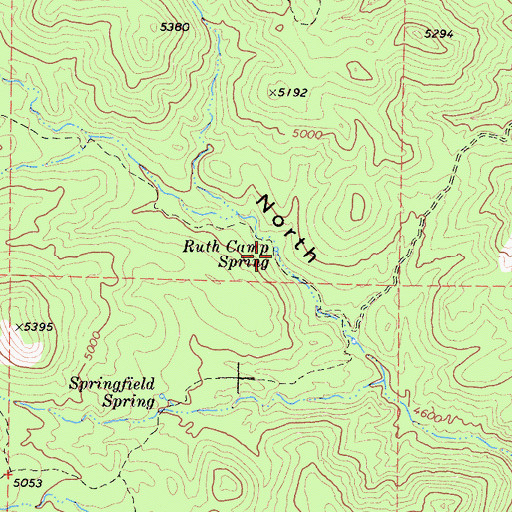 Topographic Map of Ruth Camp Spring, CA