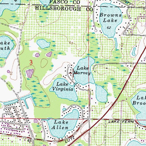 Topographic Map of Shady Lake Shores, FL