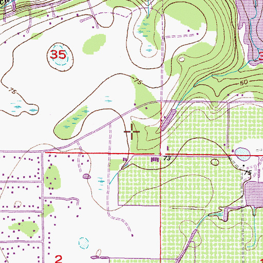 Topographic Map of Shady Oaks, FL