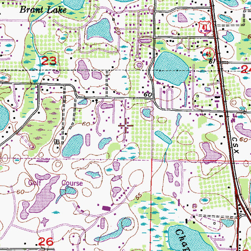 Topographic Map of Shady Pines, FL