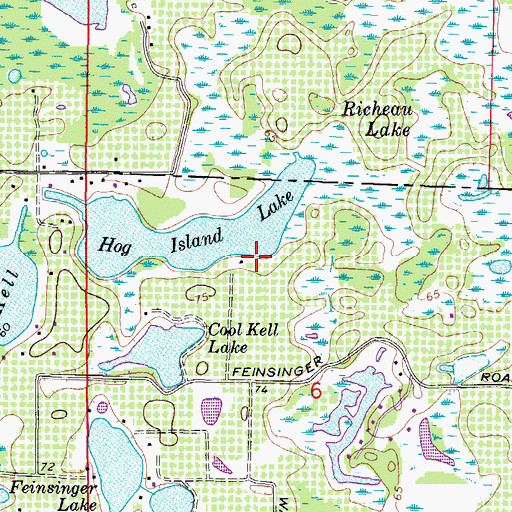 Topographic Map of Shephards Cove, FL