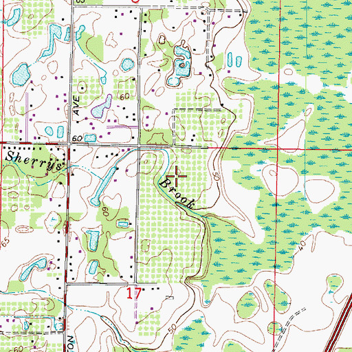 Topographic Map of Sherry Brook Estates, FL