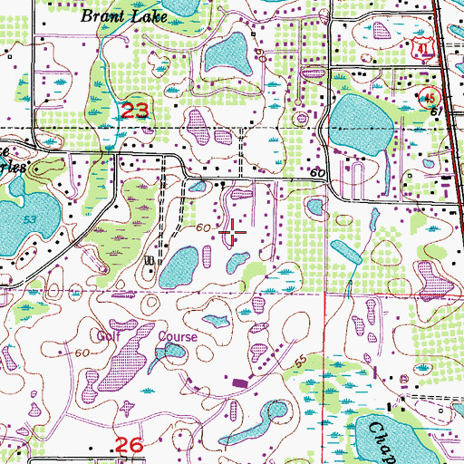 Topographic Map of Sico, FL