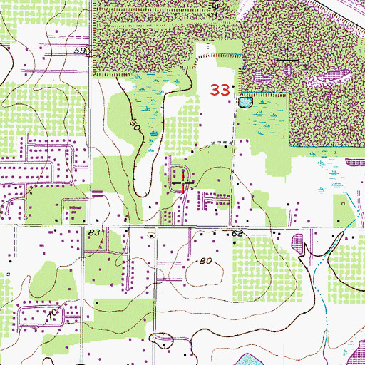 Topographic Map of Siloam Springs Wood, FL