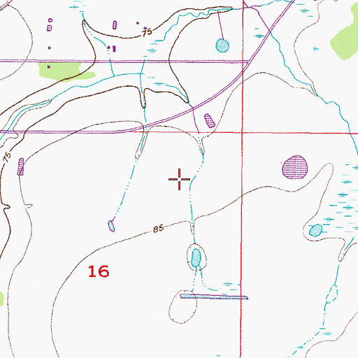 Topographic Map of South Cove, FL