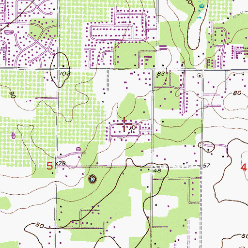 Topographic Map of Springdell Estates, FL