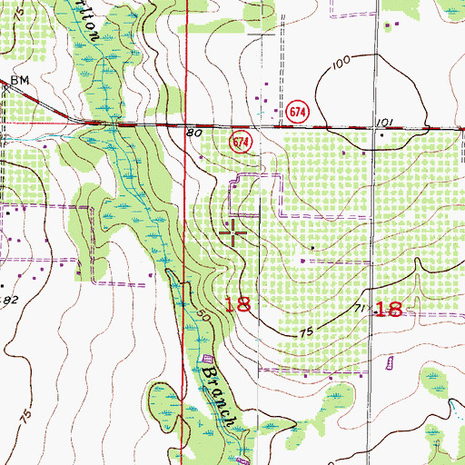 Topographic Map of Summerfield Wimauma, FL