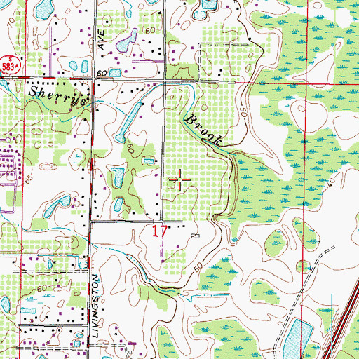 Topographic Map of Suzie Trace, FL